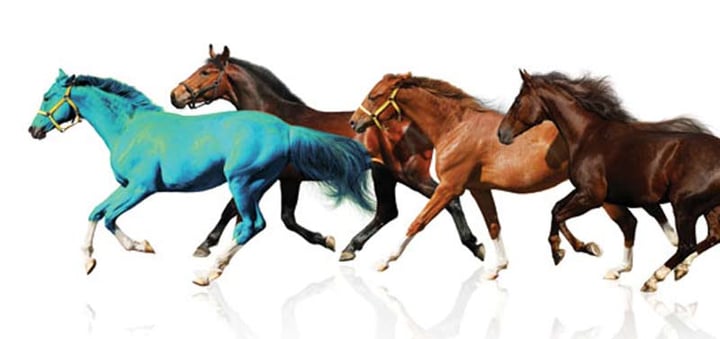 The Outcome Rating Scale: A Horse of a Different Color